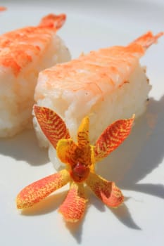 Close up of shrimp sushi on a plate.
