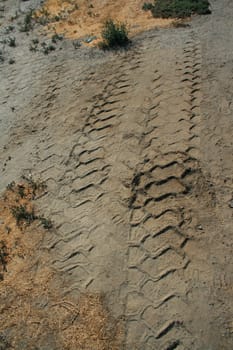 Close up of tire tracks on a road.
