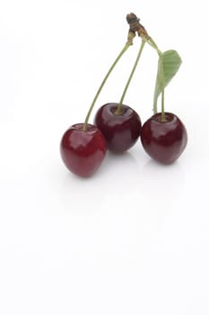 red cherries on the white background