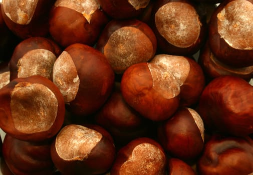 a texture of chestnuts from above