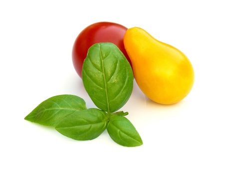 the basil and tomatoes on the white background 