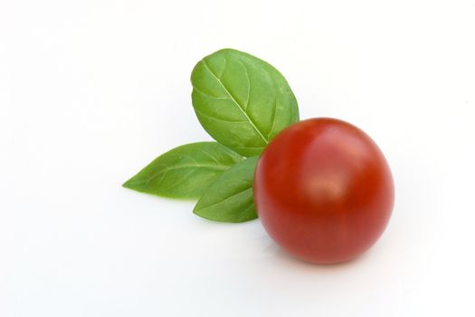 the basil and tomatoes on the white background 