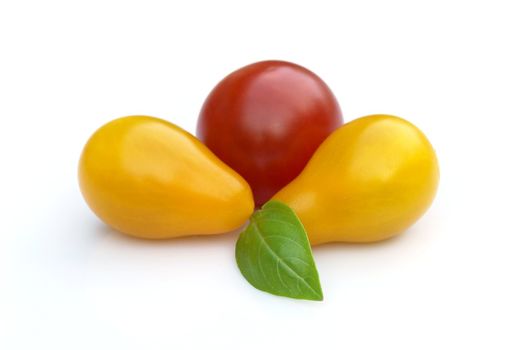 the basil and tomatoes on the white background 