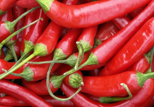 hot pepper on the white background 