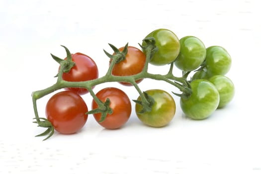 tomatoes on the white background 