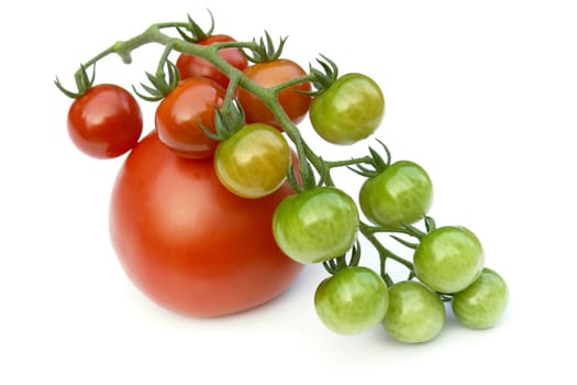 tomatoes on the white background 