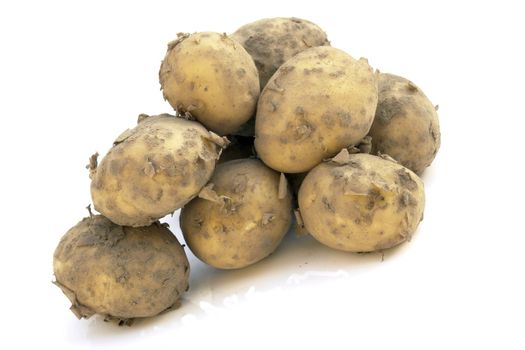 potatoes on the white background 