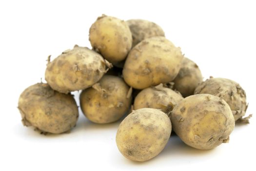 potatoes on the white background 