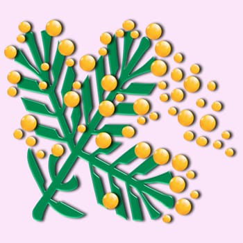 Branch of mimosa over pink background