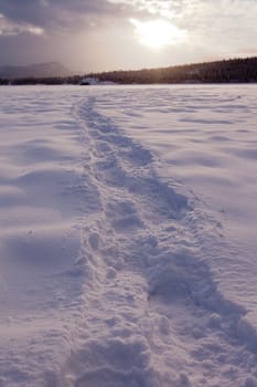 Snowshoe prints forming a trail in untouched powder snow surface on frozen lake with dramatic light.