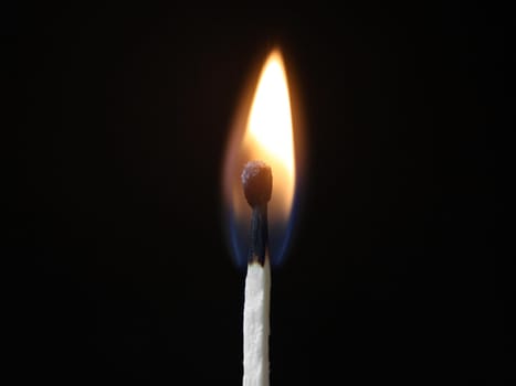 close up of burning match