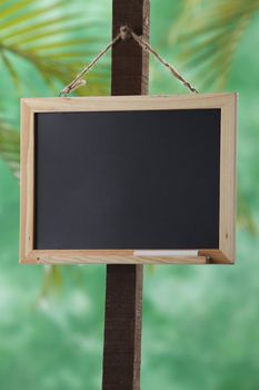 stock image of the blackboard at outdoor