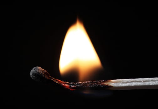 close up of burning match