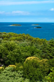 Vegetation Mediterranean sea and three islands at Vrsar - Croatia
