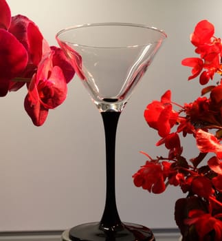 orchid and a glass