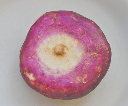 Beetroot vegetable aka the table beet, garden beet, red beet