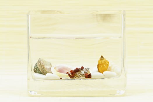 Squared decorative vase as a table decoration with shells and pebbles