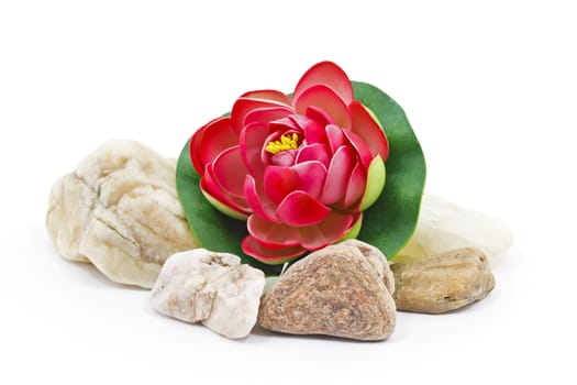 Red Water lily flower decoration with small river rocks