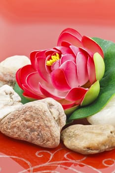 Red Water lily flower decoration with small river rocks