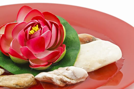Red Water lily flower decoration with small river rocks