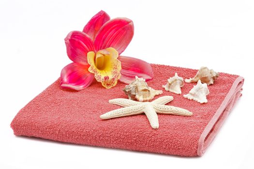 Pink orchid decoration with towel and sea shells