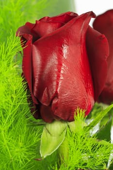 Close-up of a red rose from a bridal bouquet