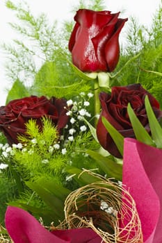 Bouquet of red roses with green decorative leafs isolated on white
