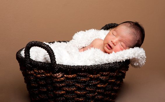 Cute baby asleep in basket with soft lining.