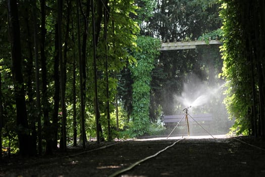 sprinkler in the park