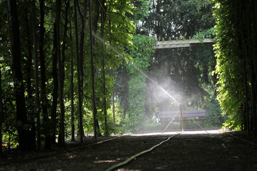 sprinkler in the park