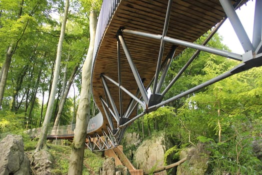 modern forest bridge
