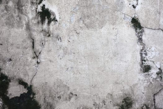 The Grunge cracked concrete wall for design