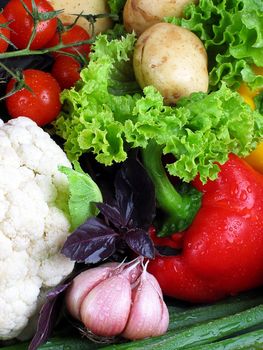 Vegetables for the salads, bought in the rural market