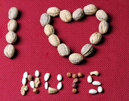 i love nuts