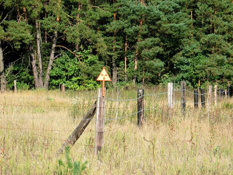 Radiating burial ground in a zone of alienation in the Belarus wood