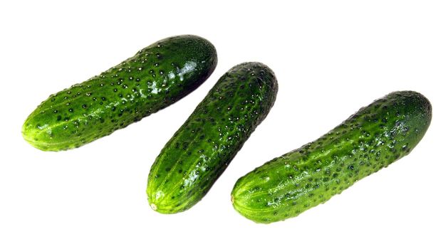 Cucumber  - very tasty and useful vegetable. It is used in kitchens of many people