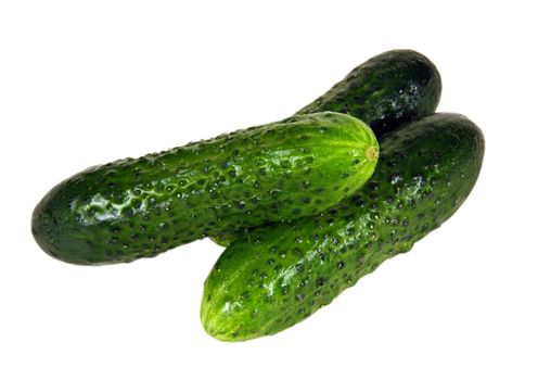 Cucumber  - very tasty and useful vegetable. It is used in kitchens of many people