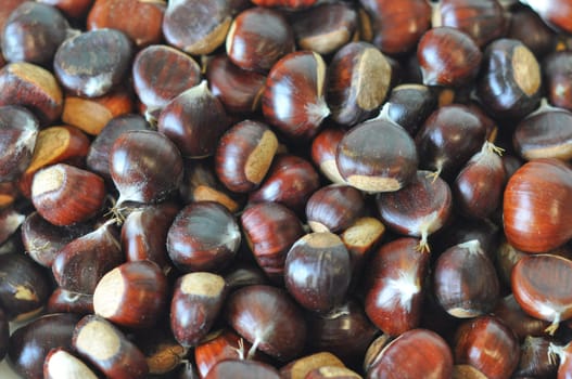 Many chestnuts useful as a food background