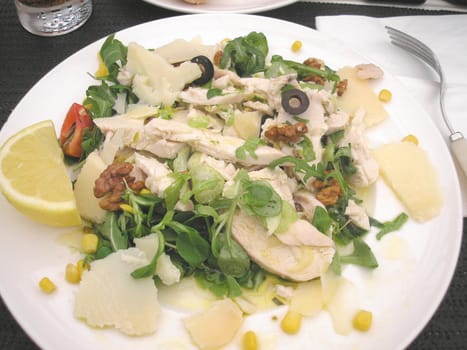 Detail of Chicken Salad in a dish with lemon slice, parmesan cheese, nuts and parsley