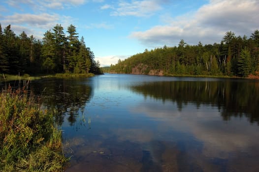 Lake in sunny pine forest in Algonquin Park
