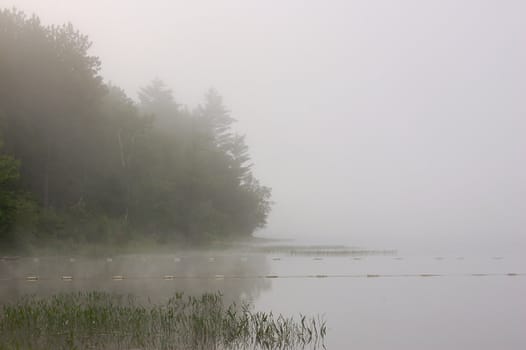 Strobg fog above lake in the morning
