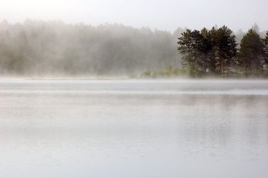 Fog above lake in the morning. Samuel de Champlain Prov. Park
