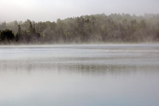 Strong fog above lake in the morning