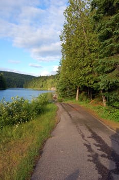 Road along the lake in Algonquin Park