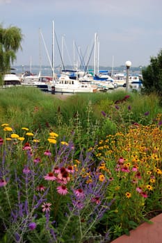 Sunny day in Toronto water front