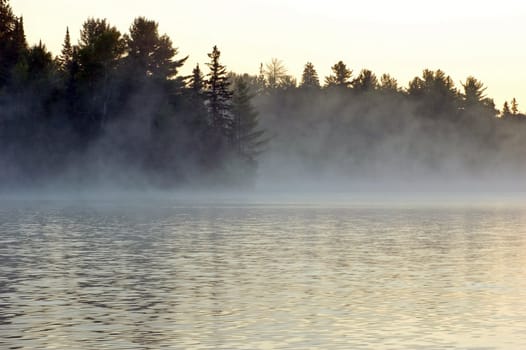 Sunrise and mist in beautiful lake in Algonquin Park
