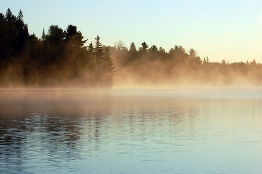 Sunrise and mist in beautiful lake in Algonquin Park