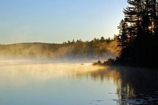 Sunrise and mist in beautiful lake in Algonquin Park
