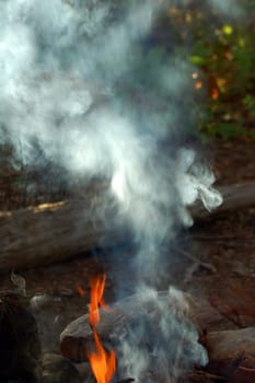 Campfire and smoke in summer forest