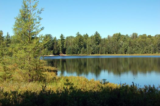 Lake in sunny pine forest in Algonquin Park
